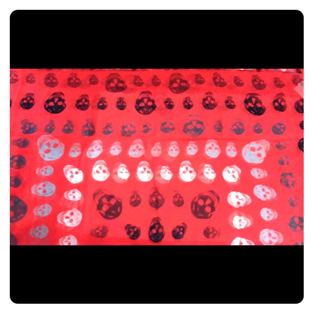 Alexander McQueen Scarf